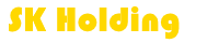 SK Holding – IT consultant